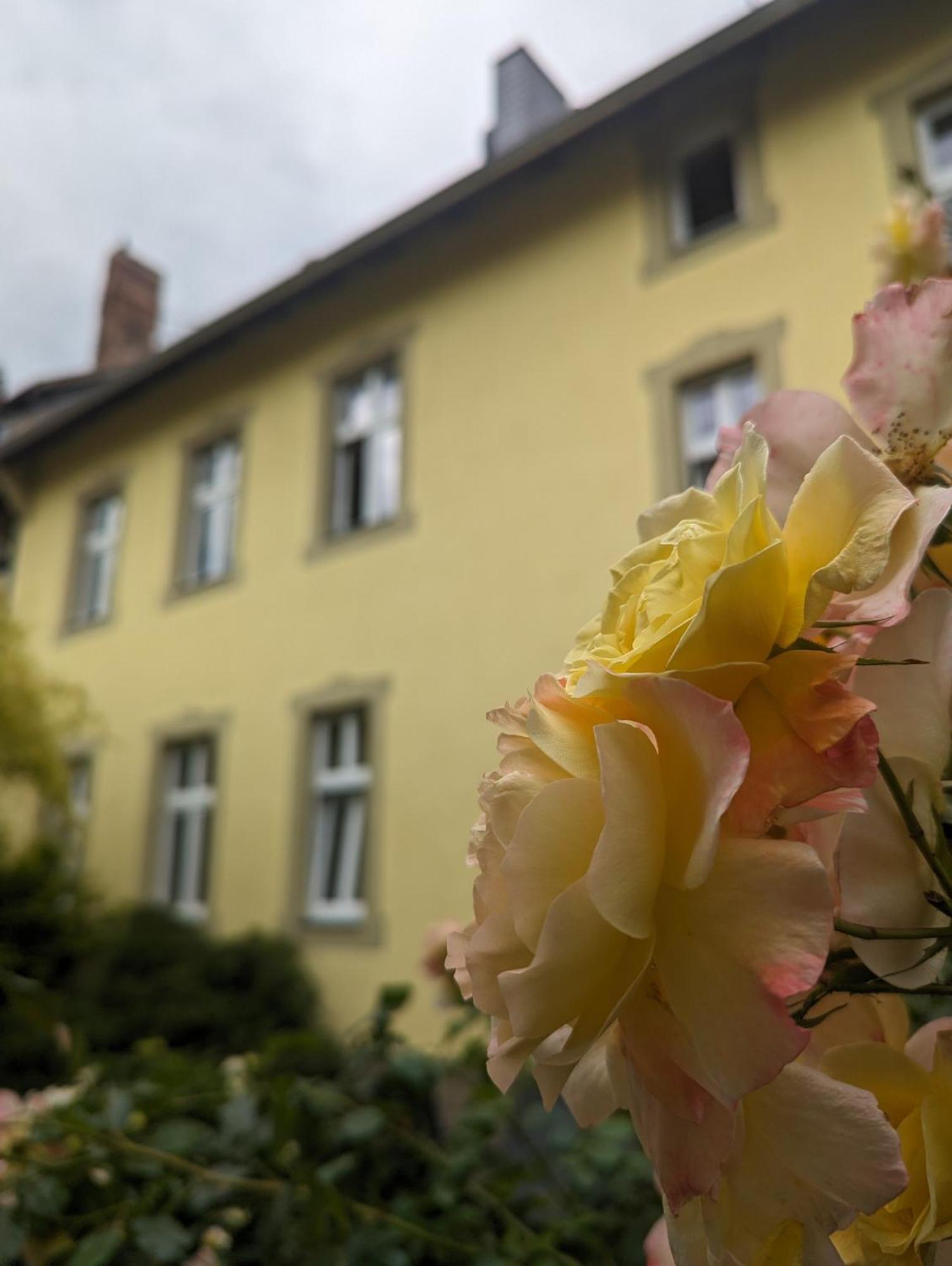 Atelier Wolkenschloss Wernigerode Extérieur photo